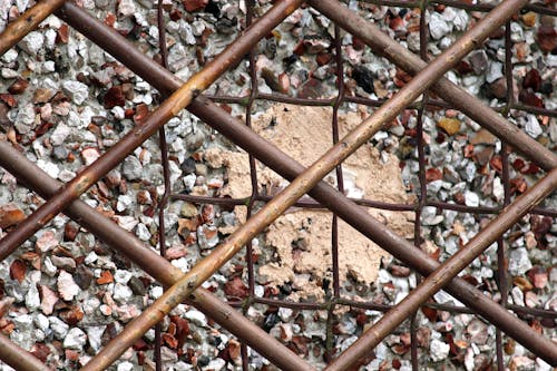 Free stock photo of architect, award, brick texture