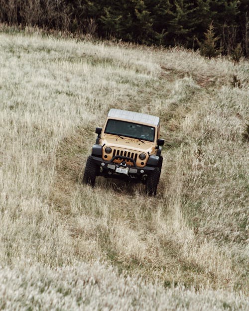Yellow Jeep Wrangler on Brown Grass Field
