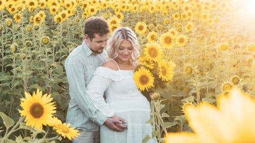 Free stock photo of couple, flowers, pregnant