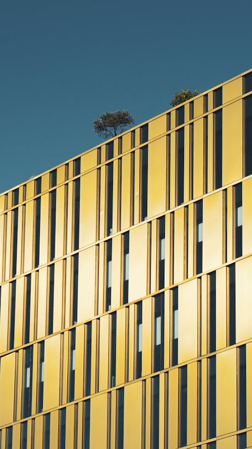 Free stock photo of building, mellow yellow, yellow