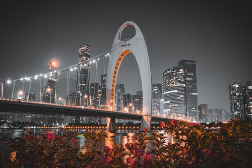 Illuminated Bridge During Night Time