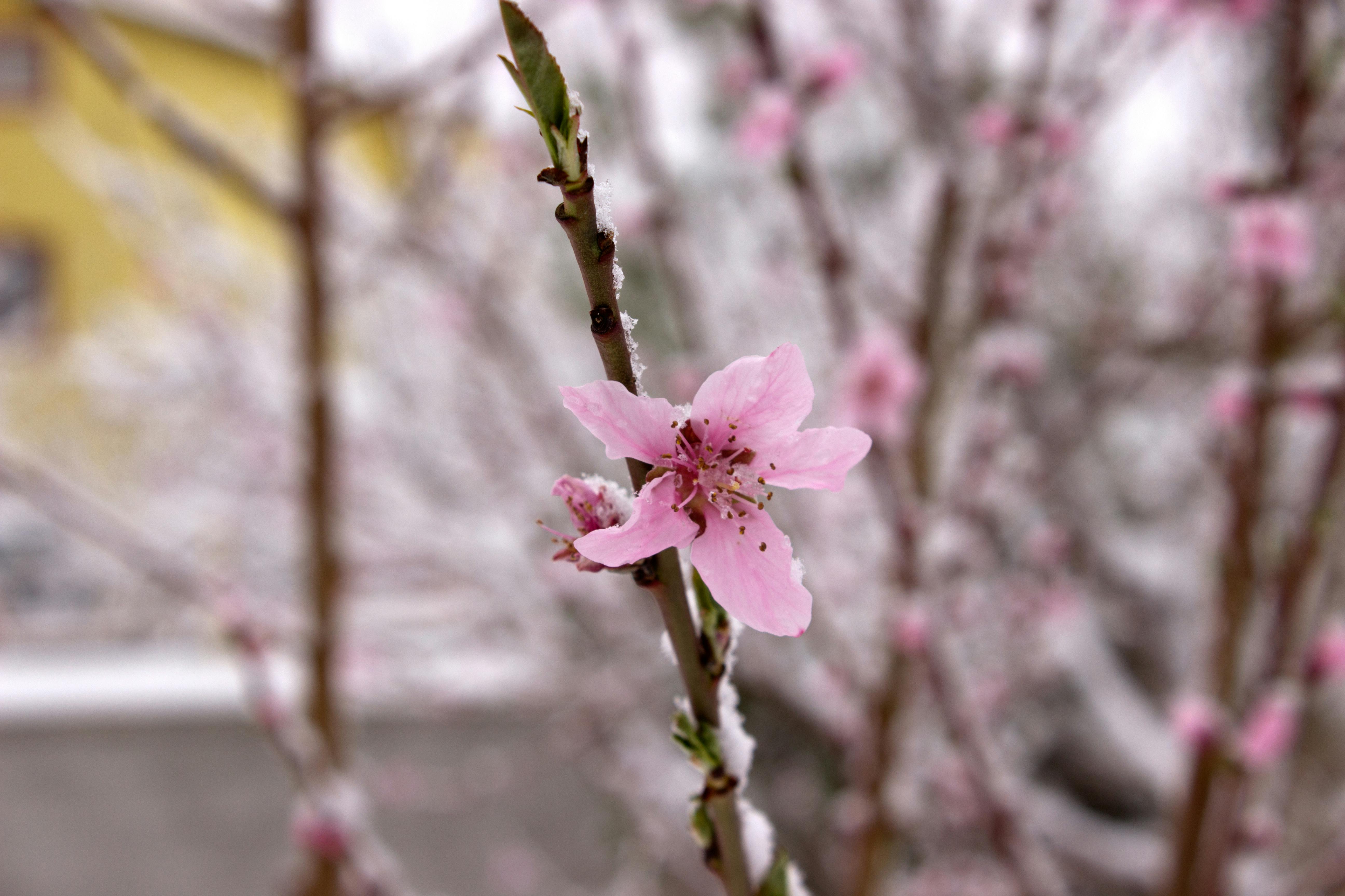 电商设计师工作场景