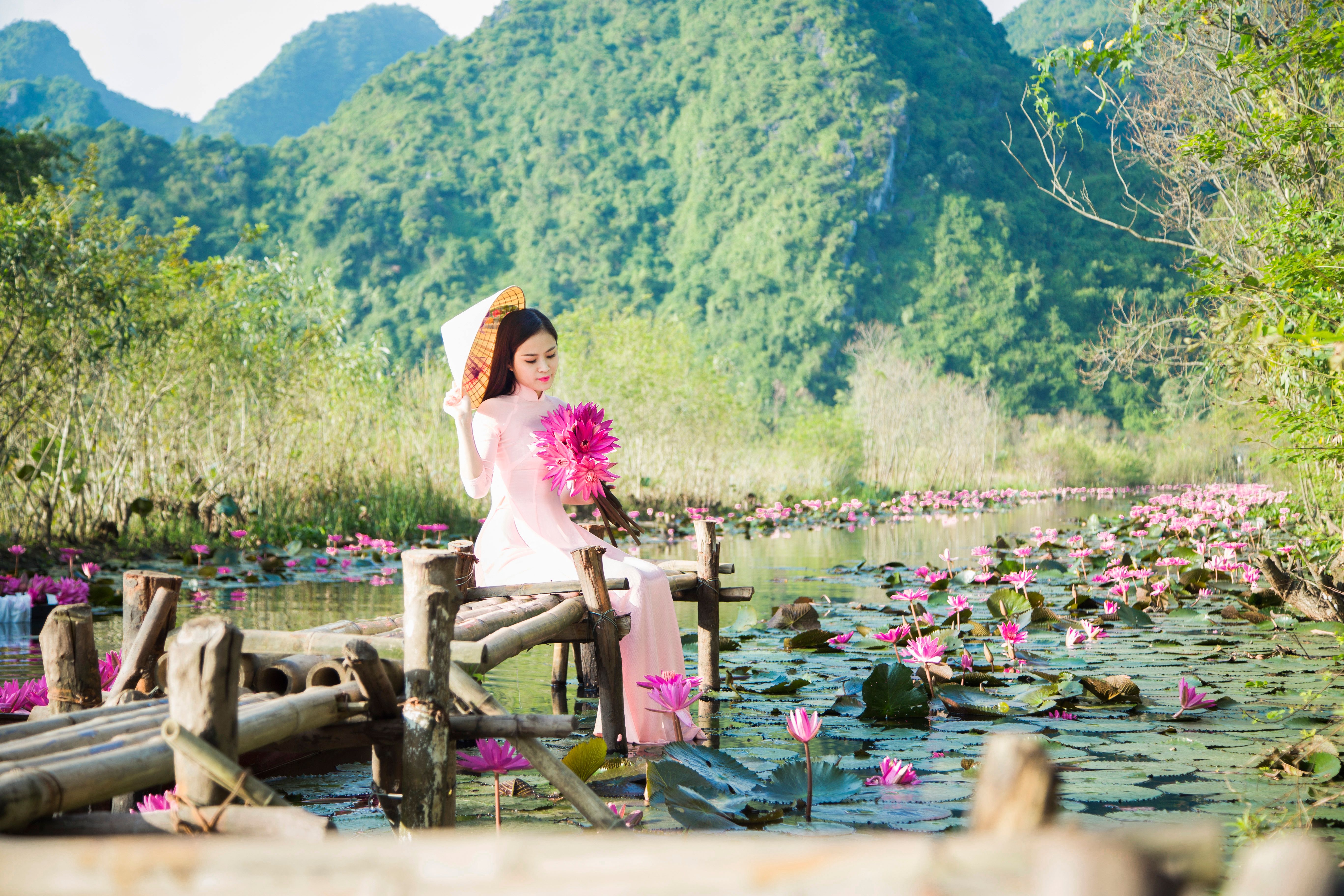 “From Paradise Cave to Lantern Streets: Vietnam Dream Tour”