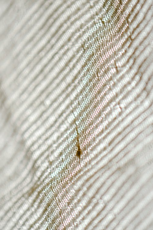 Close-up Shot of a Stain on Fabric