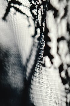 Intricate lace detail in black and white with a blurred bokeh effect, perfect for backgrounds or wallpapers.