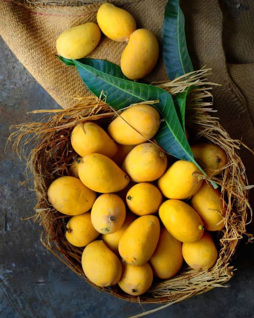 Free Fresh ripe yellow mangoes in straw basket on rustic burlap, top view. Stock Photo