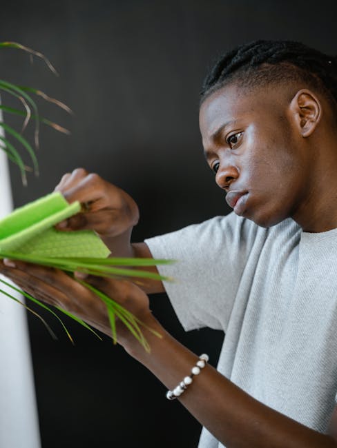 Indoor Air Quality and Cleaning: What Most People Get Wrong