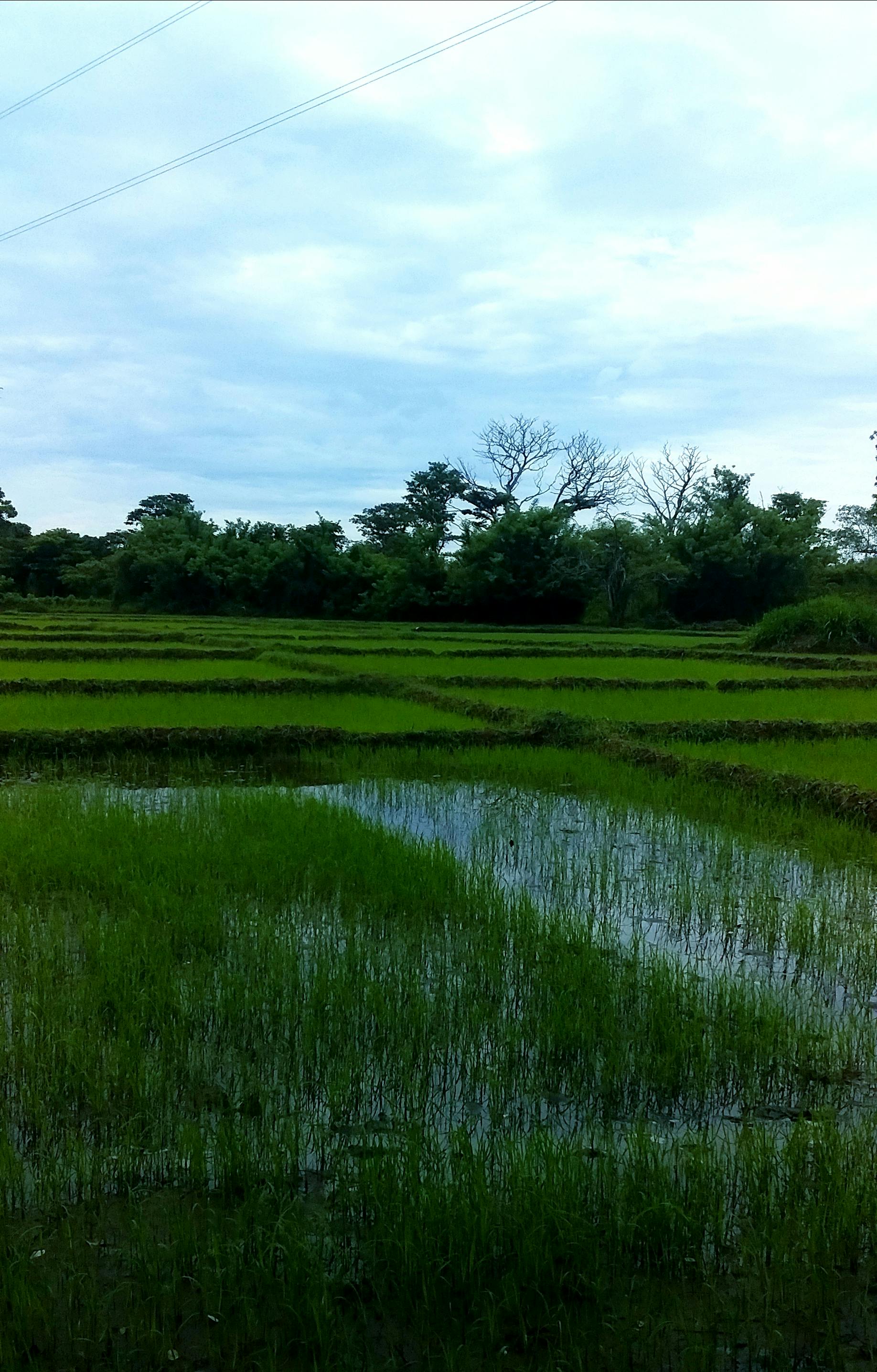 Que vaut HelloPrêt ? Notre analyse complète