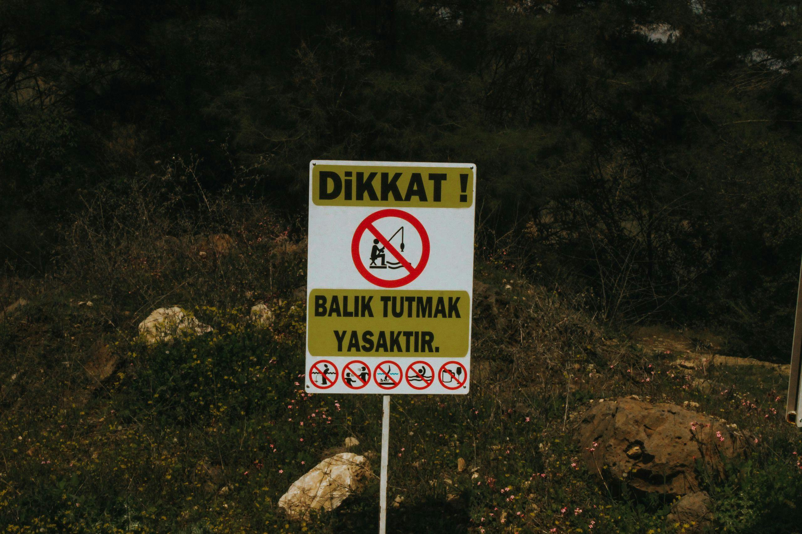 스마트폰을 들고 있는 사람이 소셜 미디어 콘텐츠를 만들고 있다.