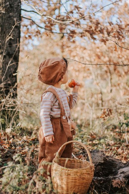 Cute boy with mushroom standing near wicker basket in autumn forest with fallen dry leaves