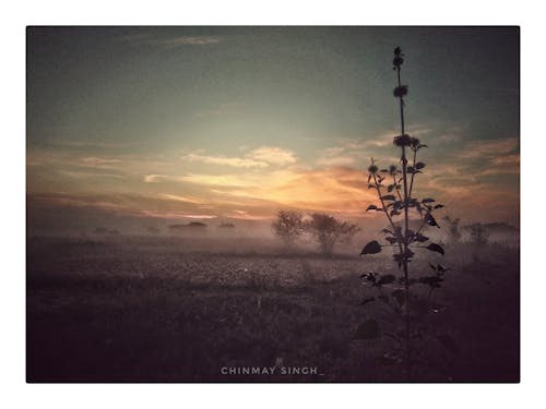 Free stock photo of dawn, early morning, winter landscape