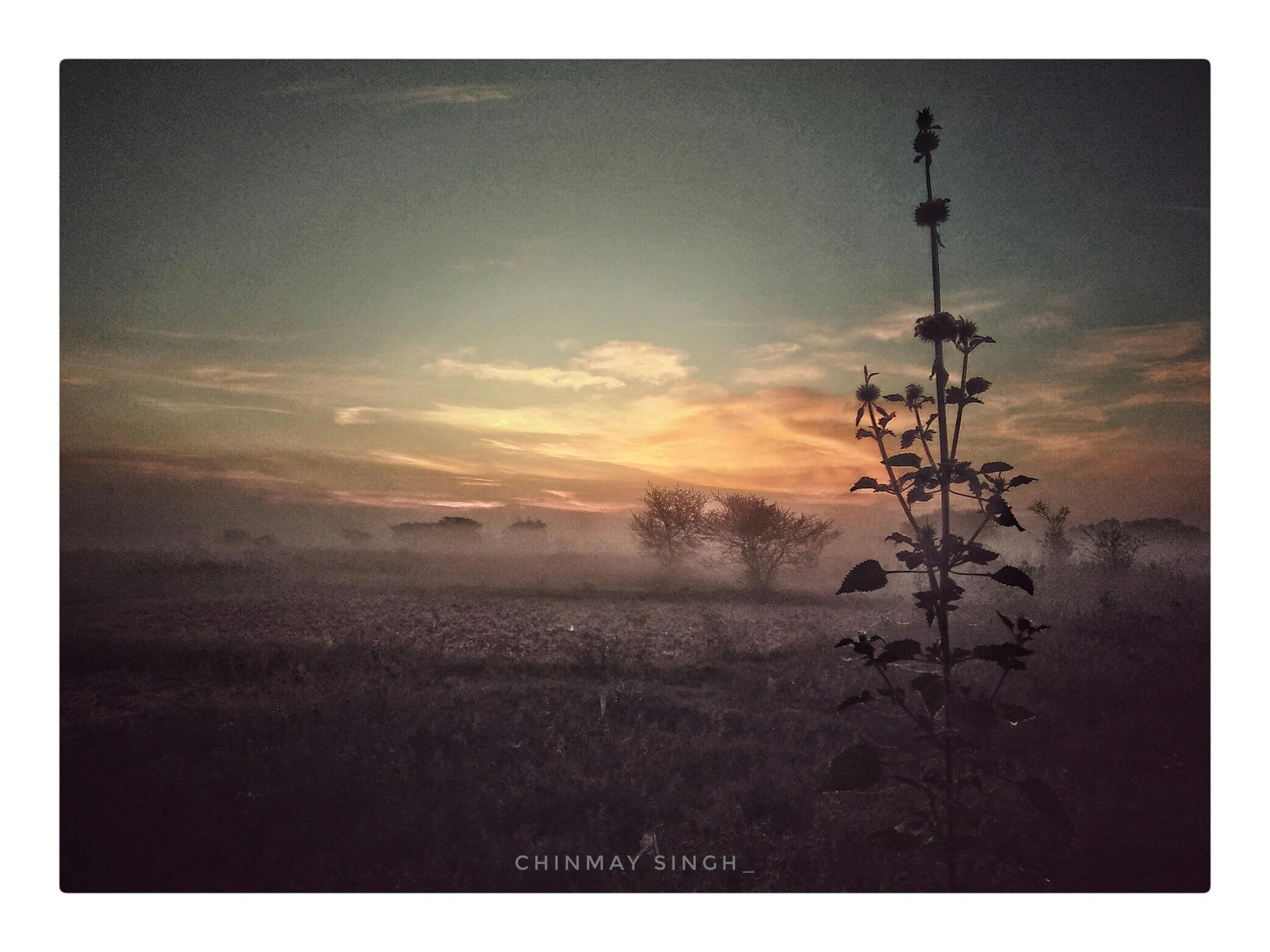 Foto Stok Gratis Tentang Dini Hari