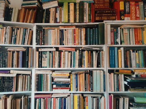 书架, 什錦的, 圖書 的 免费素材图片