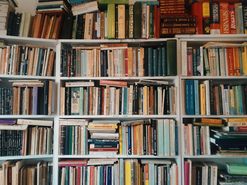 Free Books on Wooden Shelves Stock Photo