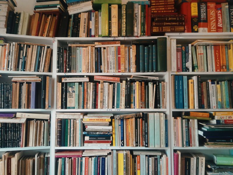 Mayfair Penthouse Library