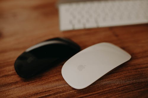 Close-Up Shot of Two Magic Mouse