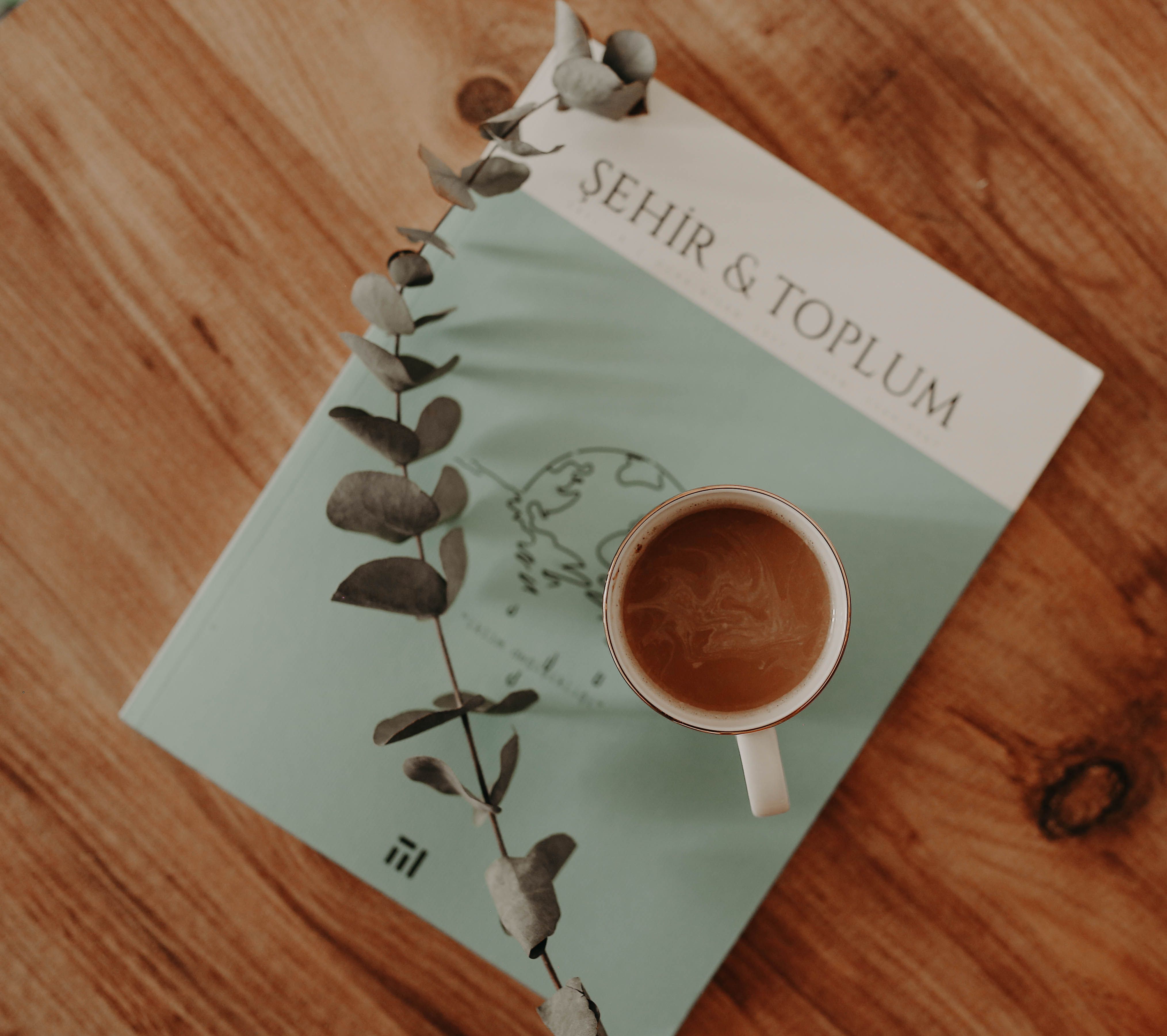 general lifestyle magazine — Photo by Melike  B on Pexels