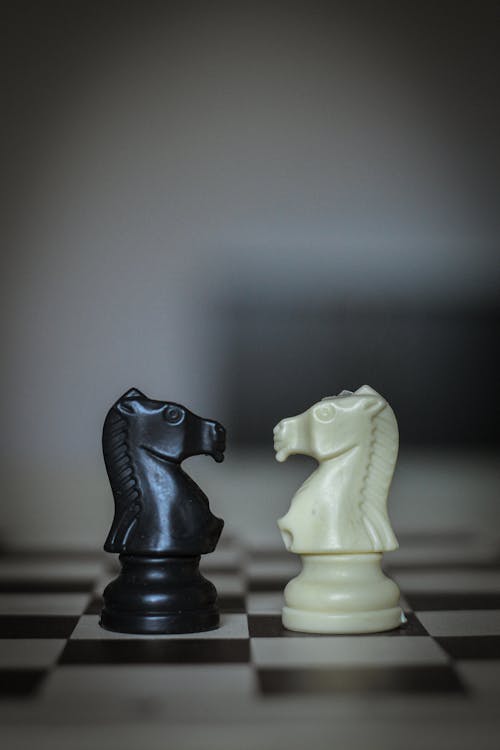 Closeup of black and white figures of knight standing in front of each other on chessboard square