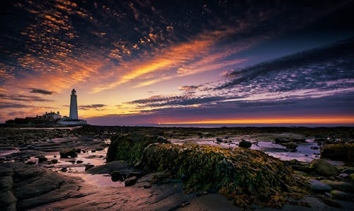 Scenic Shot of St Mary's Lighthouse