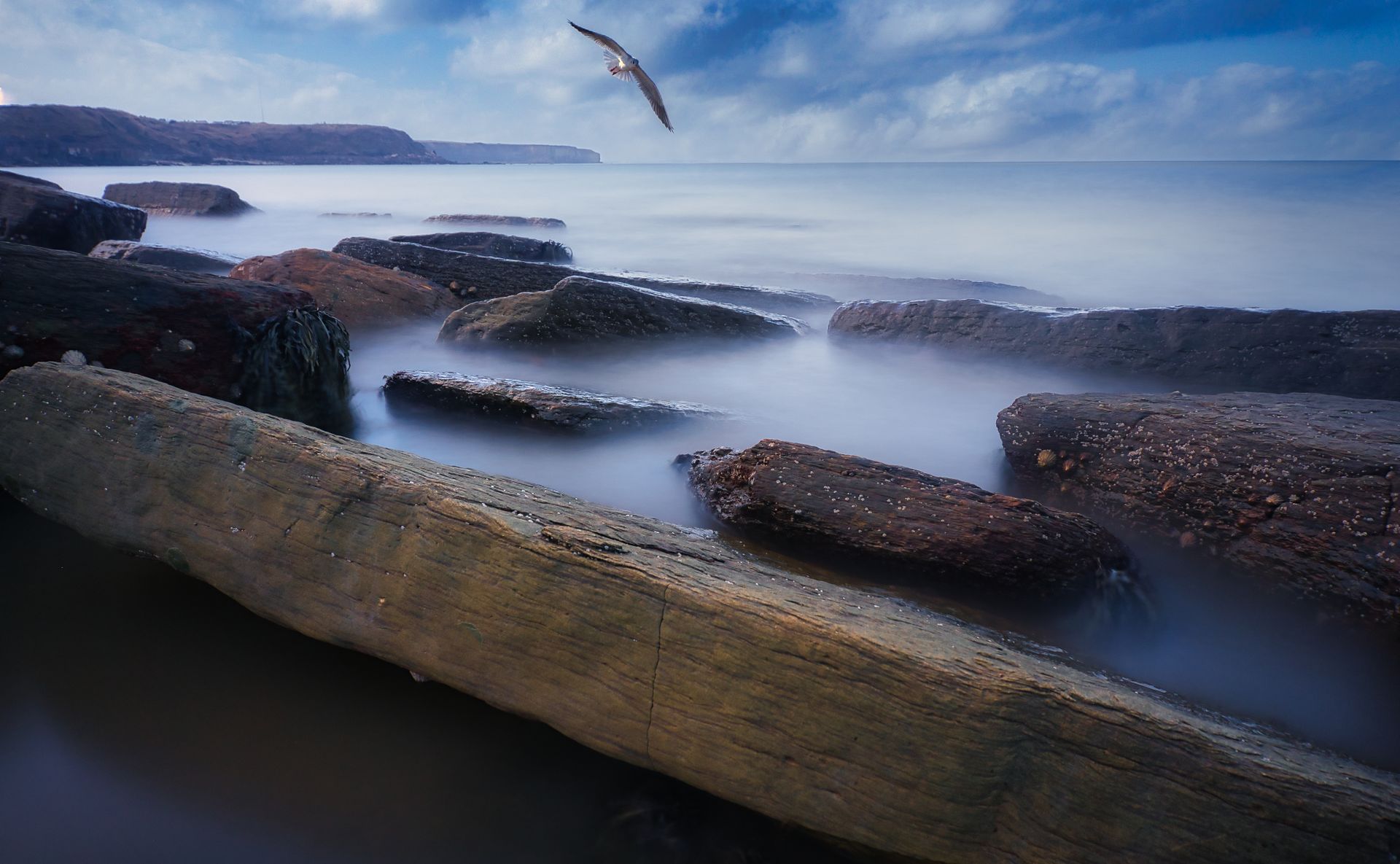 A tranquil seascape with rock formations and a bird in flight during dusk, creating a serene atmosphere.