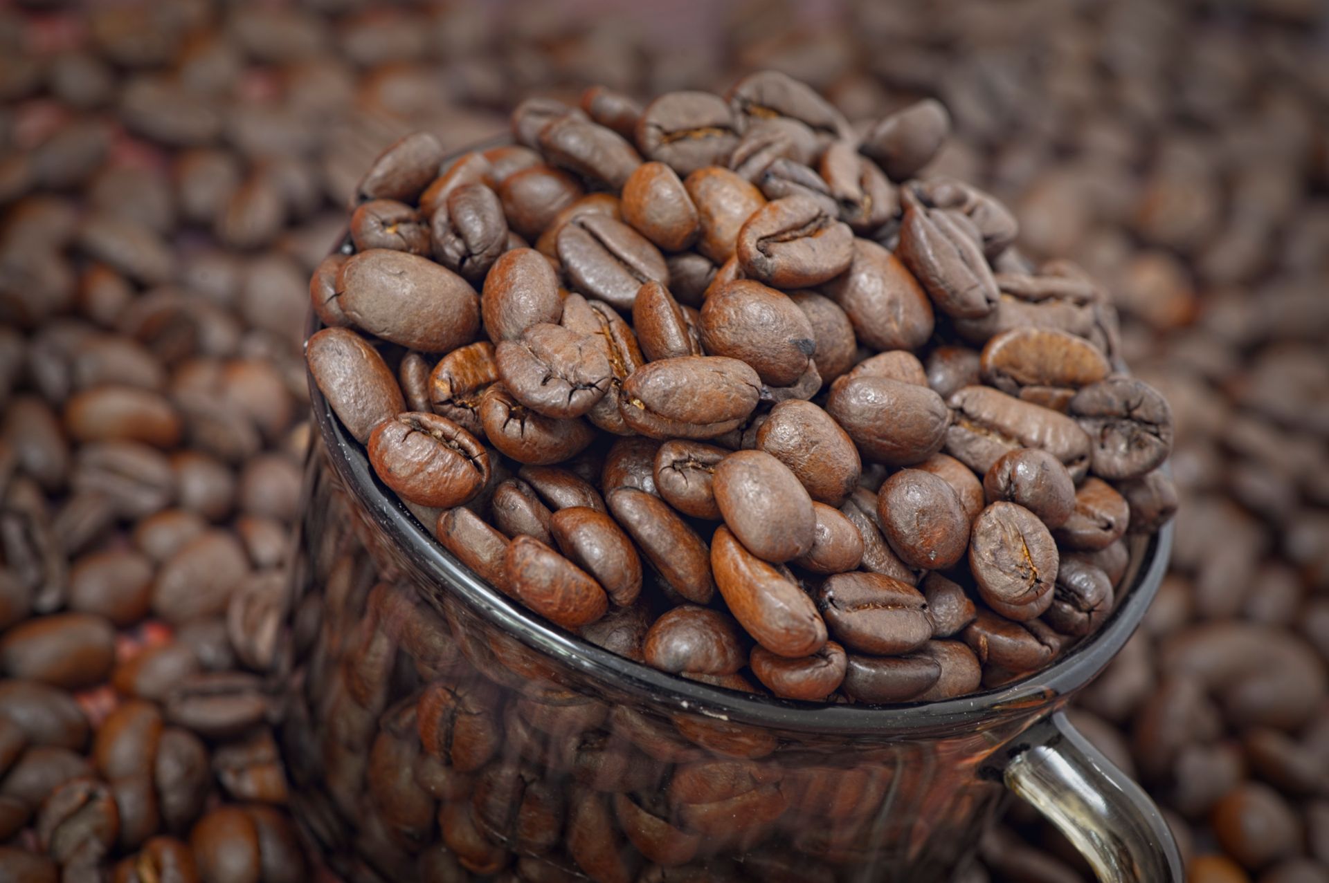 A detailed close-up of aromatic roasted coffee beans overflowing in a glass cup.