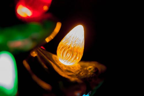 Macro-photo of Light Bulb