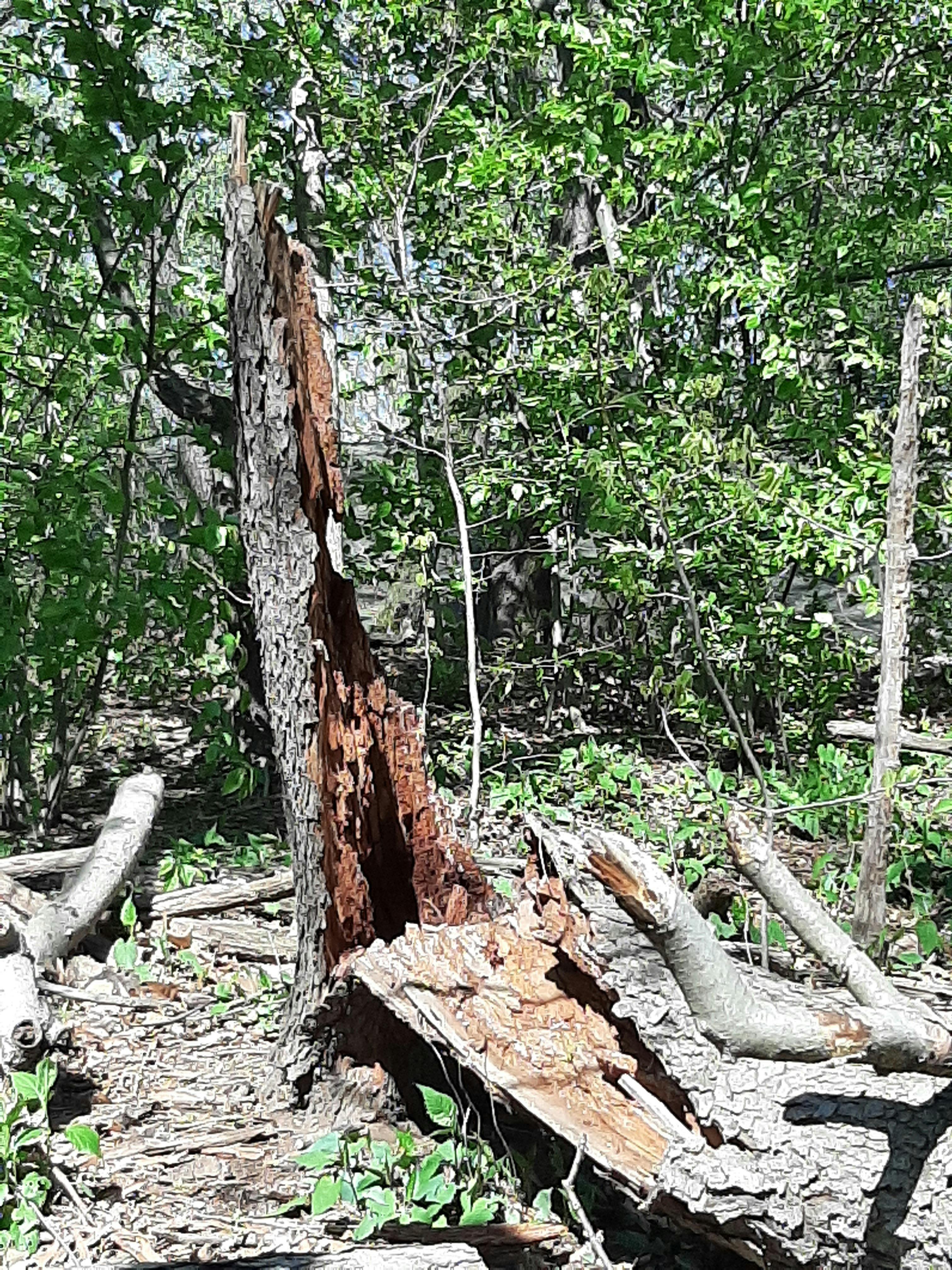 Person filling out financial affidavit for poverty declaration