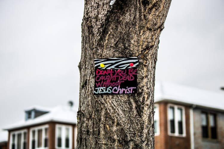 Tree Trunk With Jesus Christ Handwritten Poster