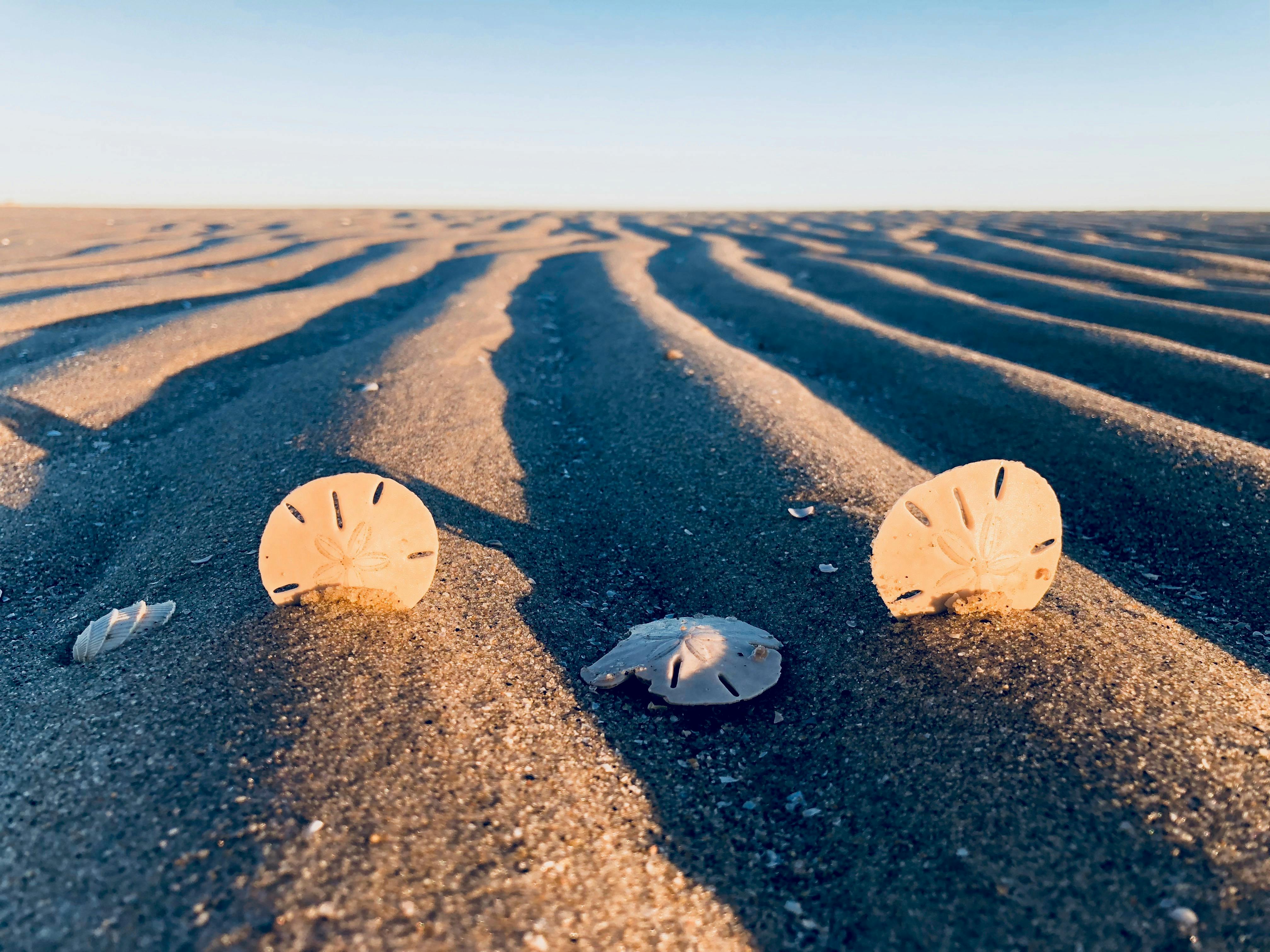 Women’s Wholesale Clothing to Keep Up With Fashion Trends