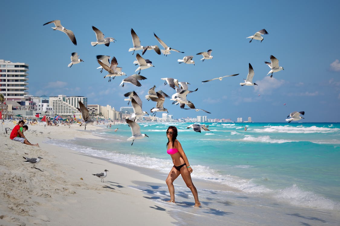 Free Photo of a Woman Under Flying Seagulls Stock Photo