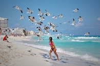 坎昆海滩上，女人们在海鸥的包围中享受着夏天