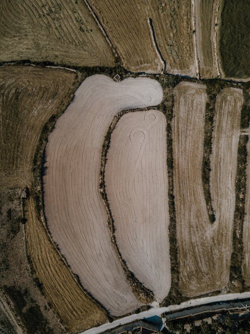 Bird's-eye View of Brown Fields