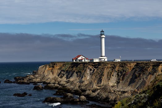 Pointe A Pitre, Guadeloupe photo 17