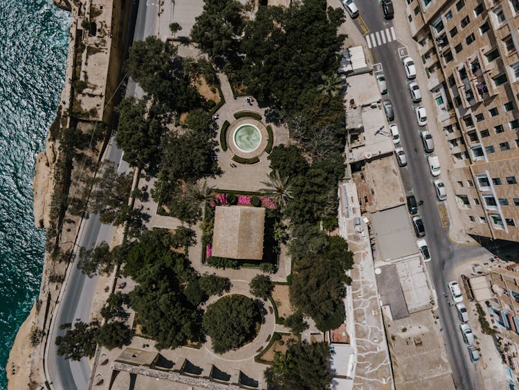 Fountain Surrounded By Trees