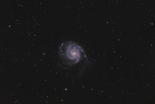Free Galaxy Pinwheel on Starry Sky Stock Photo
