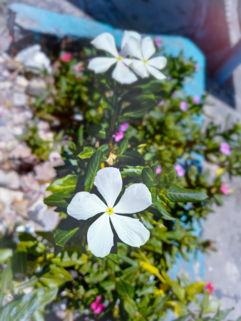 Prayer and Worship Night