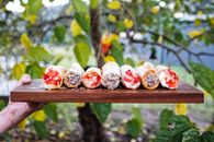 Brown and White Sea Shells on Brown Wooden Fence