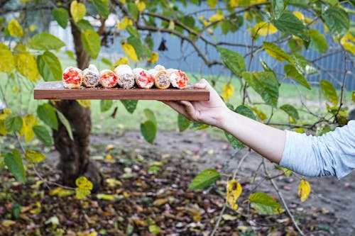 Gratis arkivbilde med cannoli, dessert, hånd