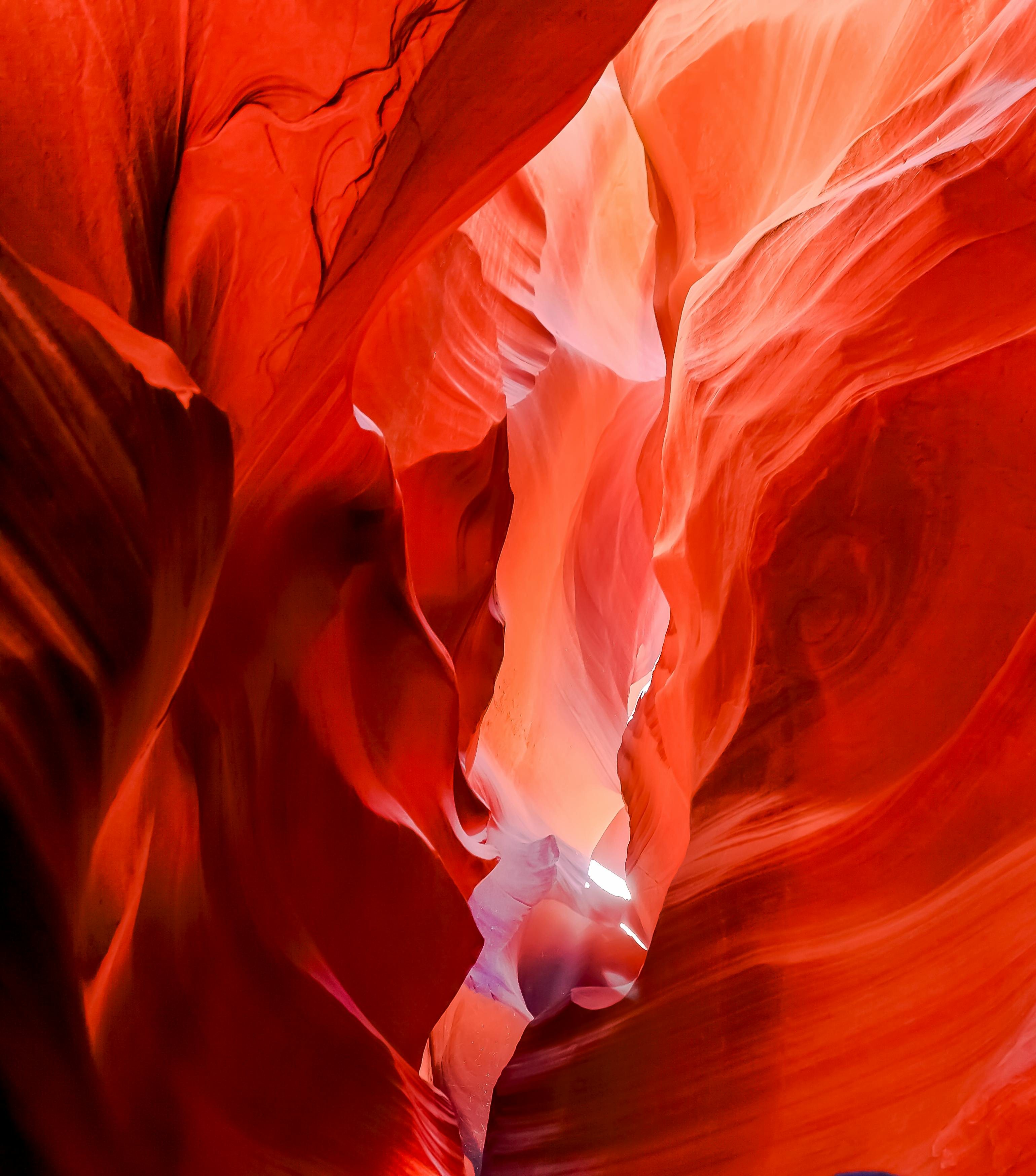 Anthony Sanchez Fotografía