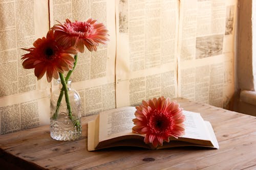 室內裝飾, 書, 木製表面 的 免費圖庫相片