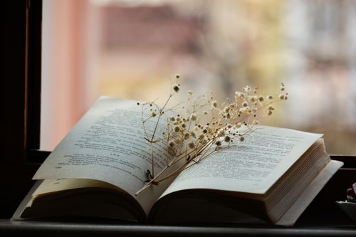 Free A serene image featuring an open book with delicate flowers set on a window sill. Stock Photo