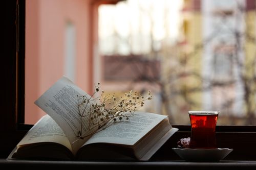 Free A serene scene of an open book, baby's breath, and tea on a windowsill. Stock Photo