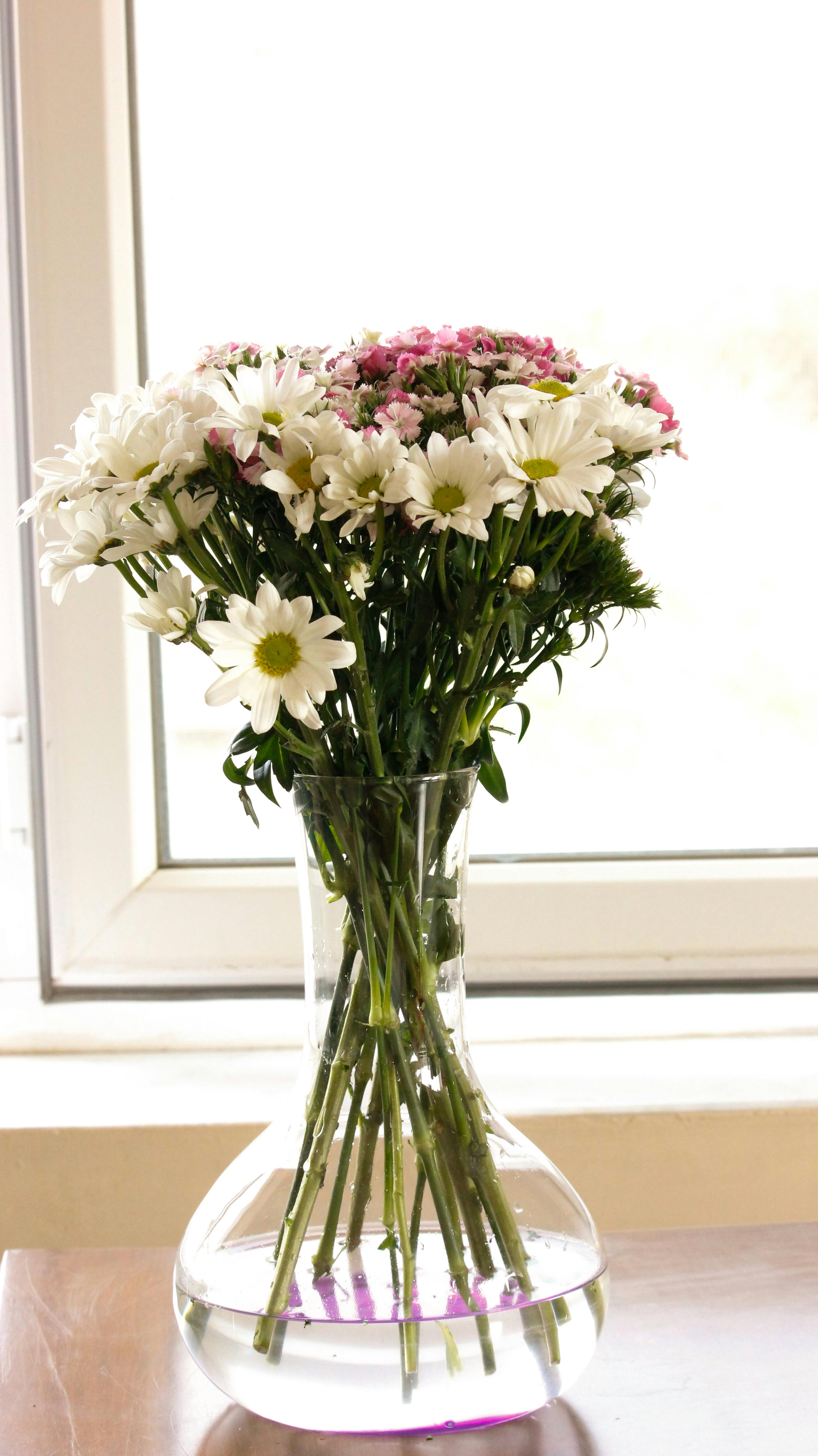 [ColoSach]-a-charming-bouquet-of-daisies-arranged-in-a-transparent-vase,-perfect-for-brightening-any-interior-space.