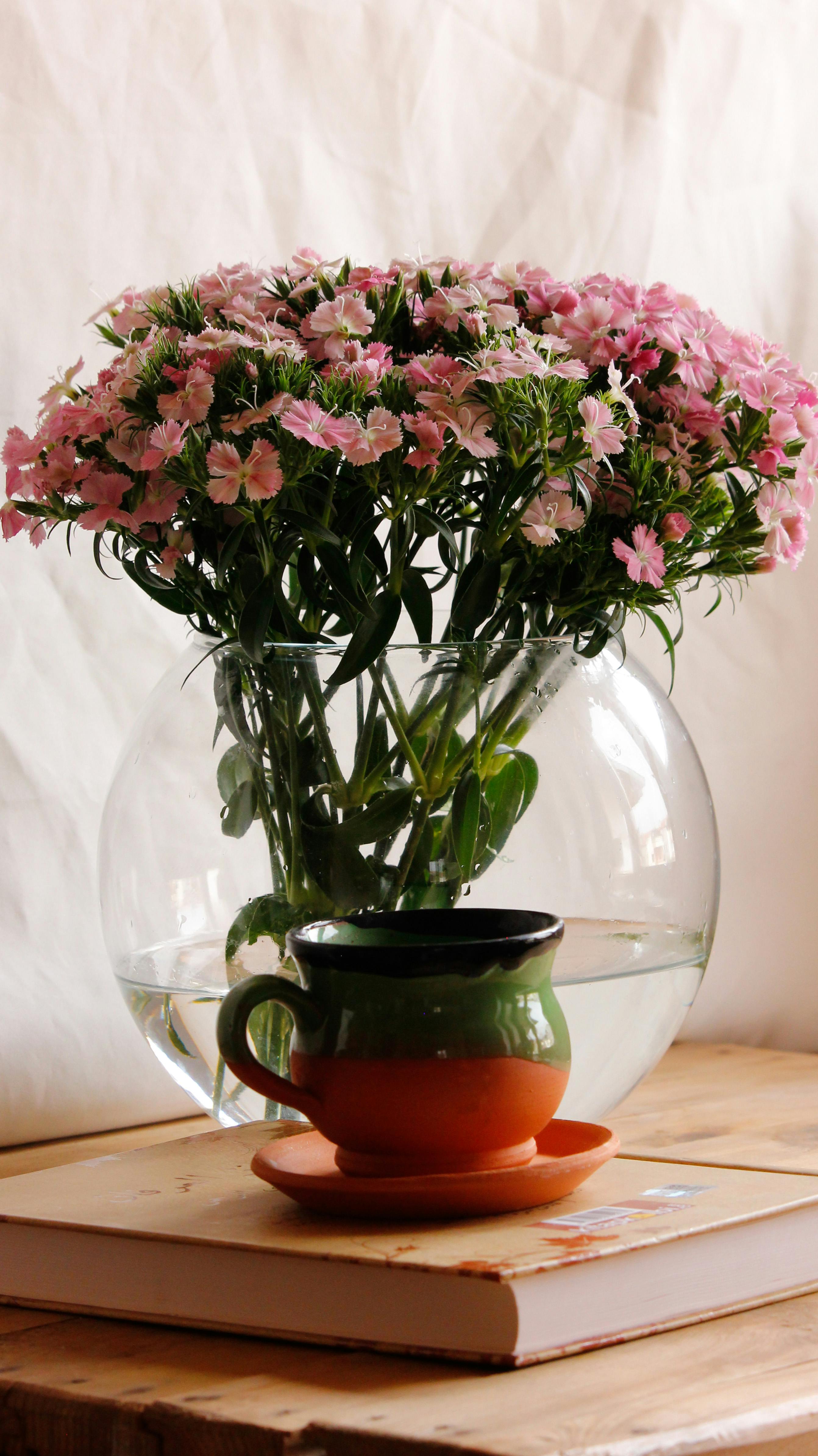 Fishbowl Photos, Download The BEST Free Fishbowl Stock Photos & HD Images