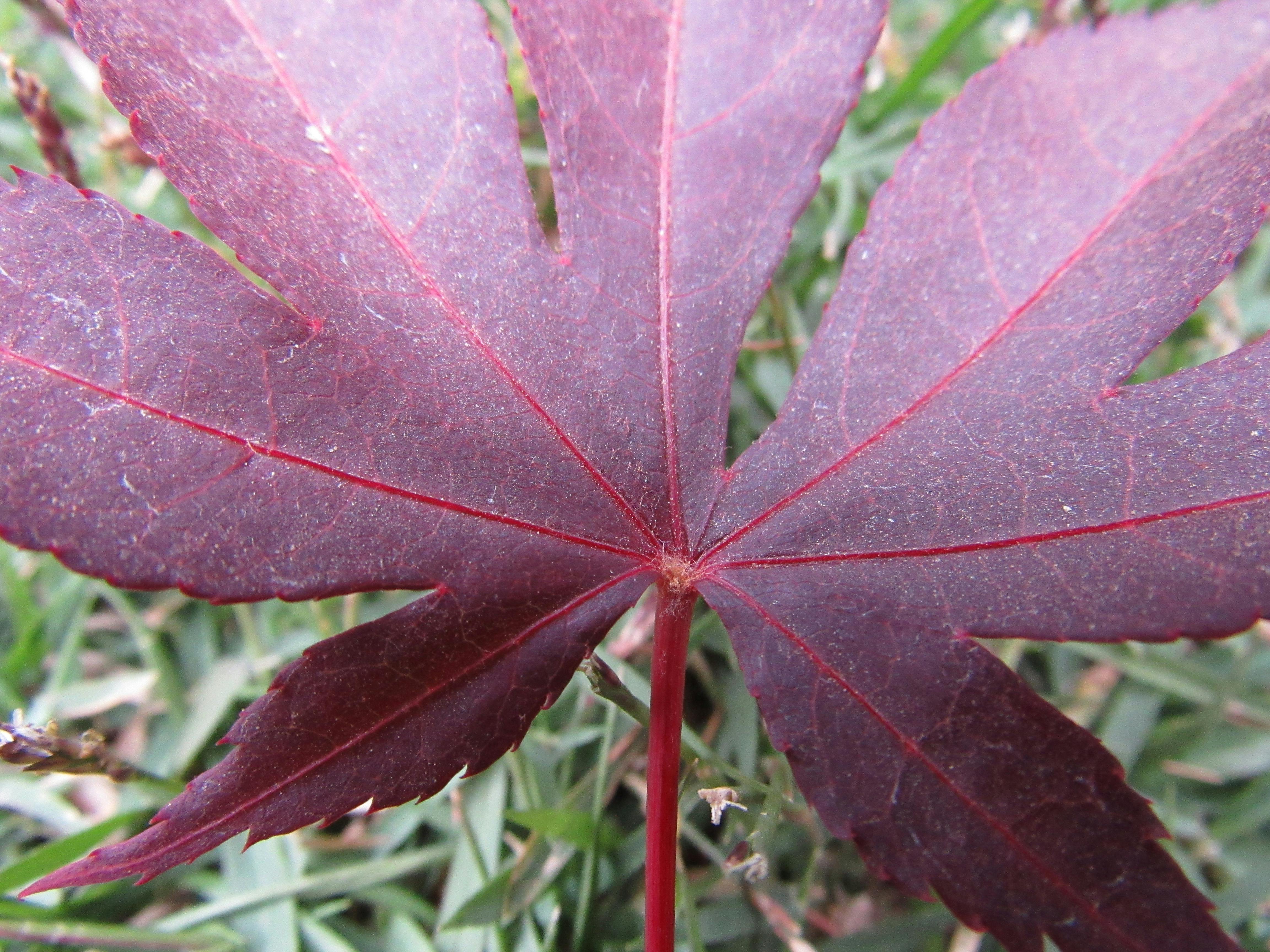 AI-powered ERP solution dashboard with predictive analytics