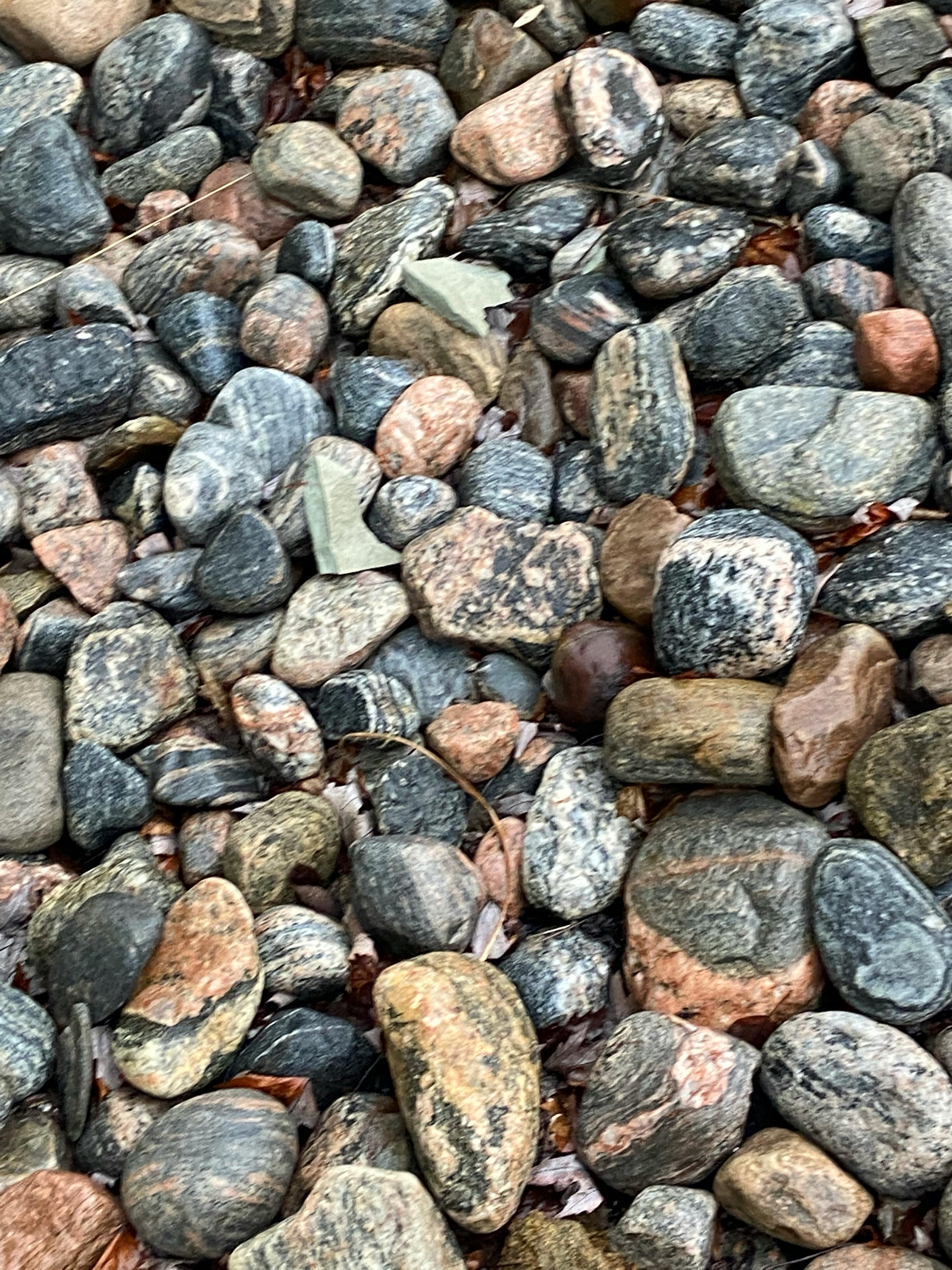 Hands typing on laptop preparing in forma pauperis application