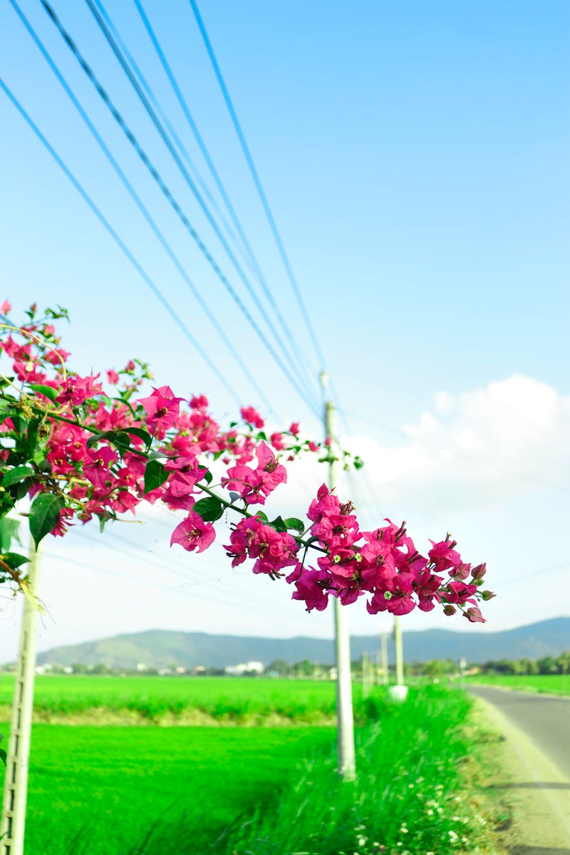 Digital Identity 2026