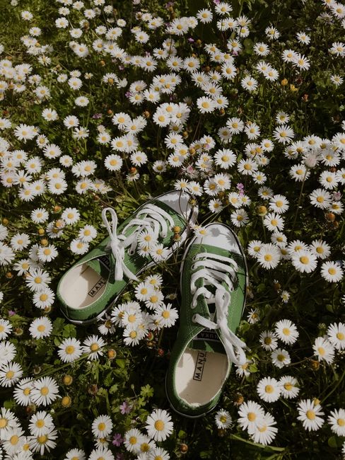 From above of sneakers on meadow with blossoming chamomiles in rural environment in sunlight