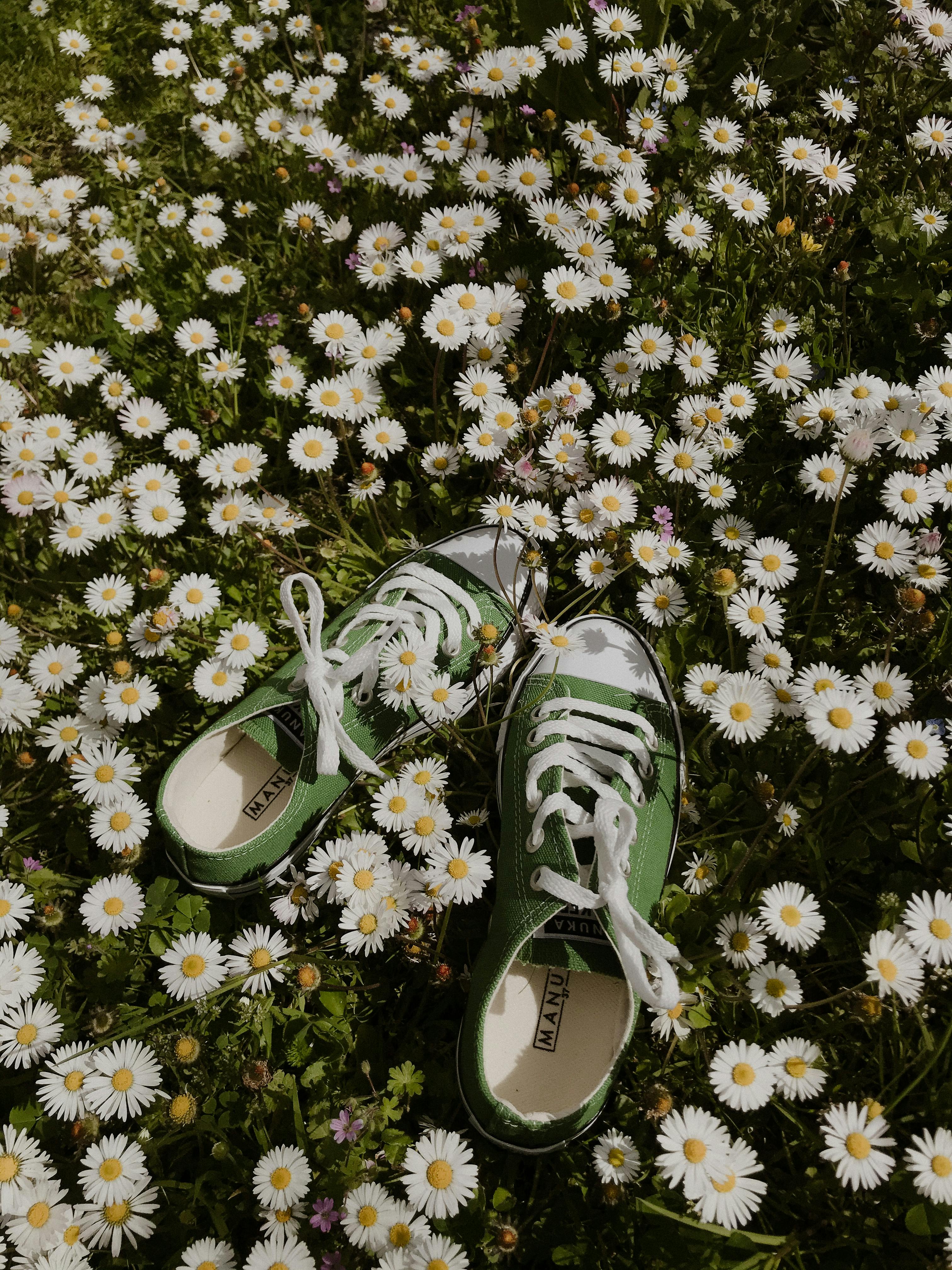 Hoa cúc (Chamomile) là biểu tượng của sự tươi trẻ, tinh tế và đầy yêu thương. Những cánh hoa nhỏ xinh trắng tinh khiết sẽ mang đến cho bạn sự bình yên và tha hồ thư giãn. Hãy click vào hình ảnh liên quan để tận hưởng những giây phút thư giãn thật thoải mái.
