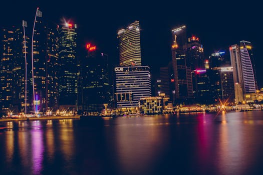平静的水域映衬着新加坡天际线令人惊叹的夜色